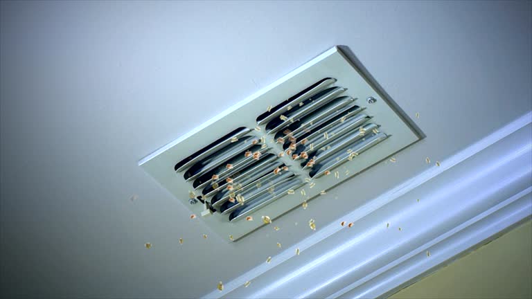 Ductwork Cleaning Services in Union, OR